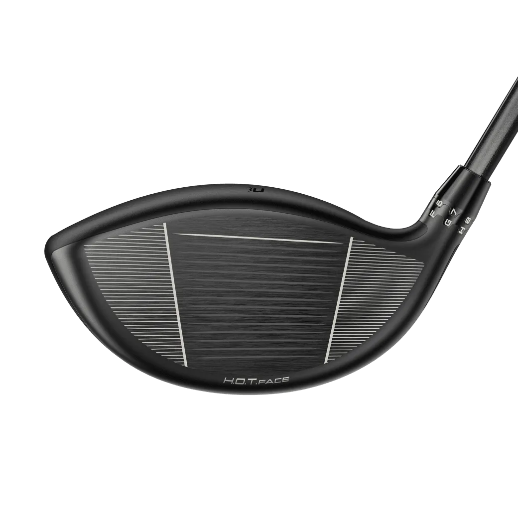 DS-Adapt LS - Driver