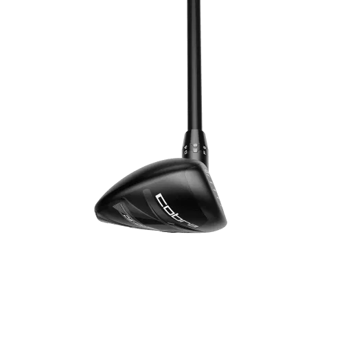 DS-Adapt Dam - Hybrid