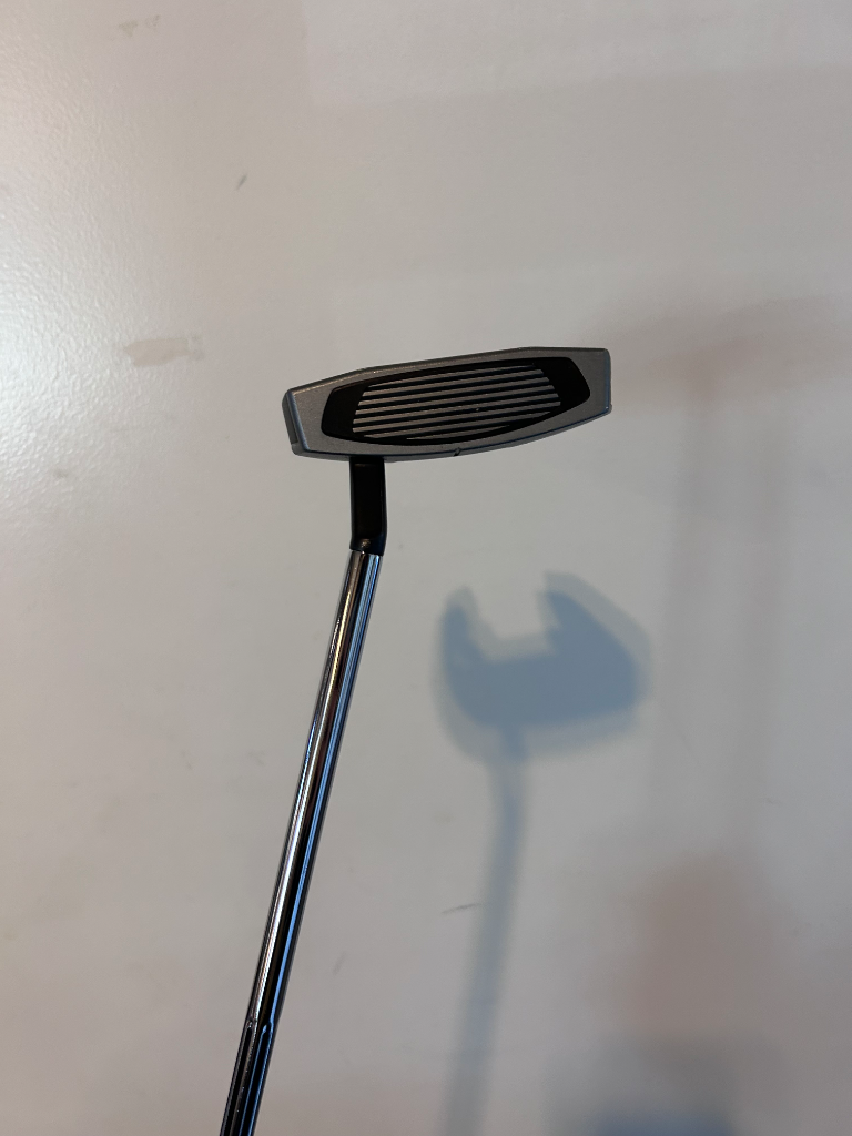 TaylorMade PT Spider GT Silver Rh 33” - Demoklubba